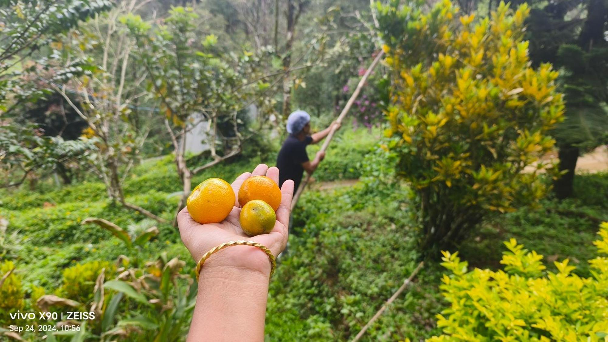 Forestscape Resort Munnar Kültér fotó