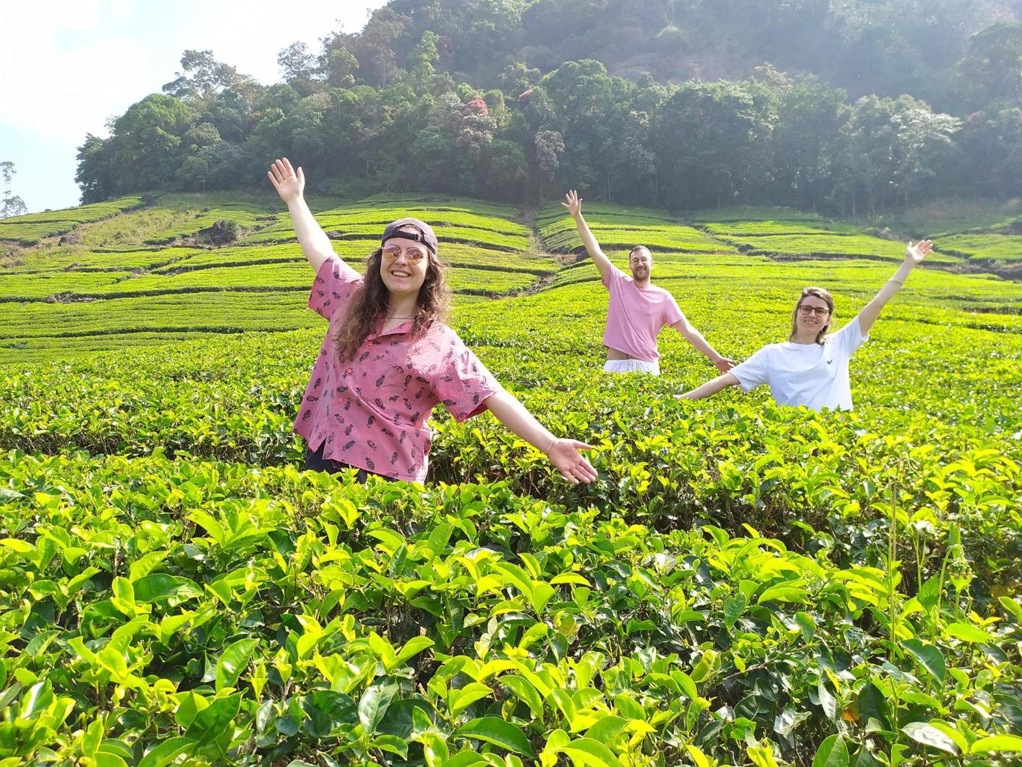 Forestscape Resort Munnar Kültér fotó