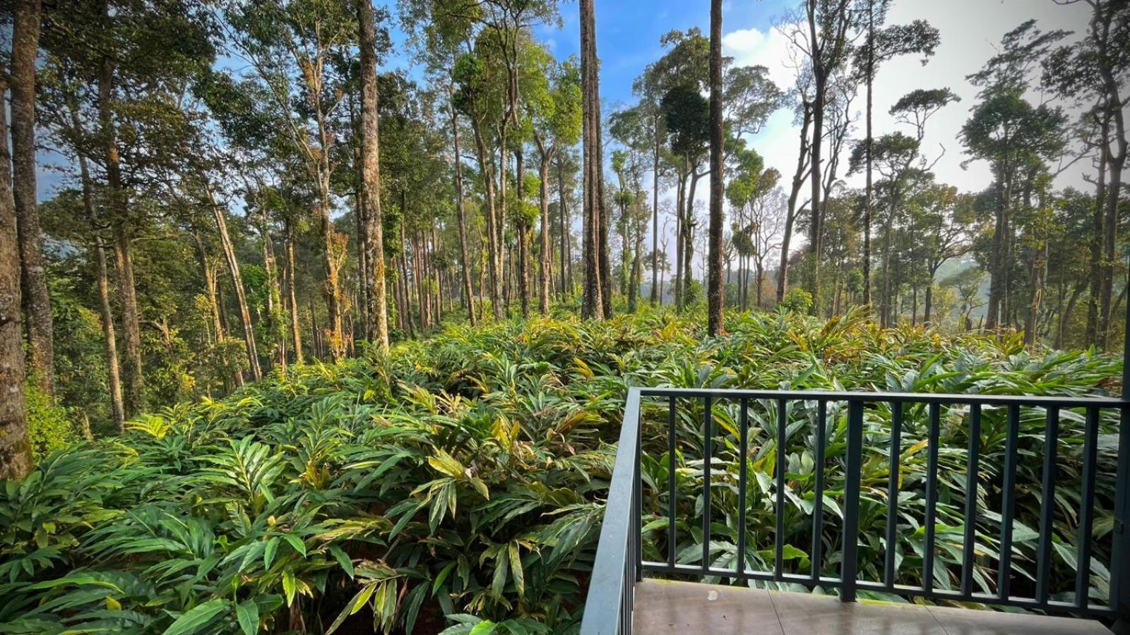 Forestscape Resort Munnar Kültér fotó