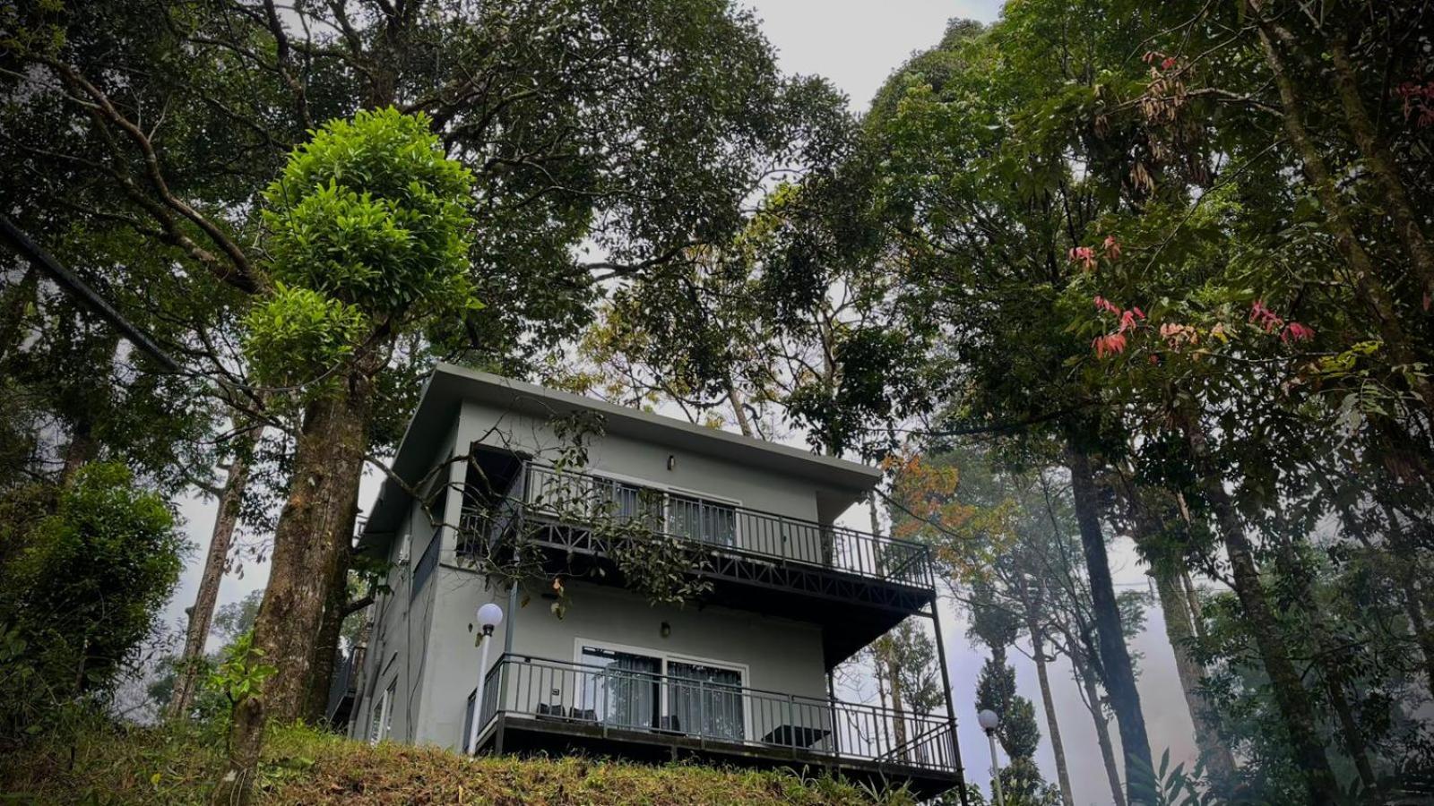 Forestscape Resort Munnar Kültér fotó