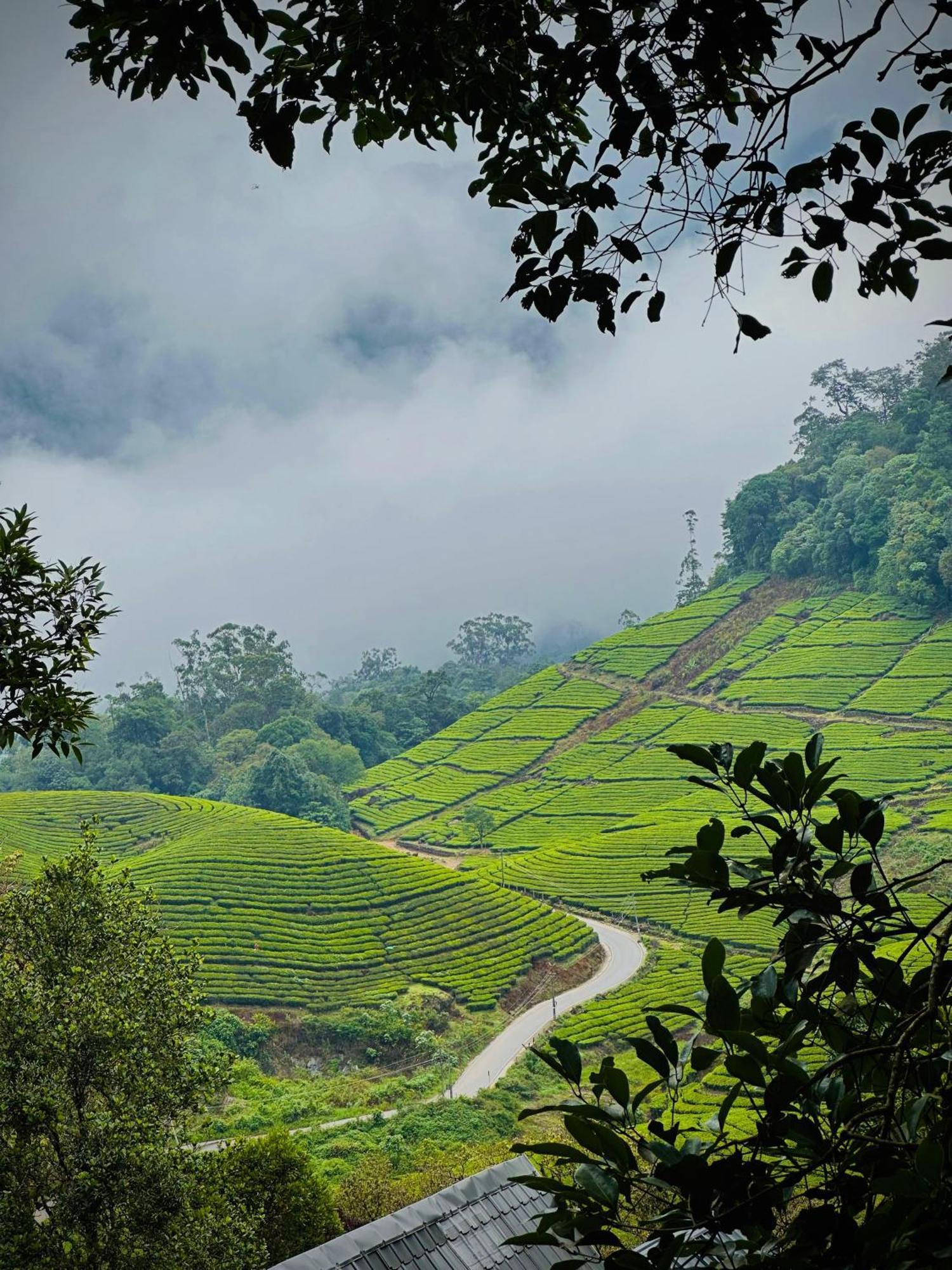 Forestscape Resort Munnar Kültér fotó