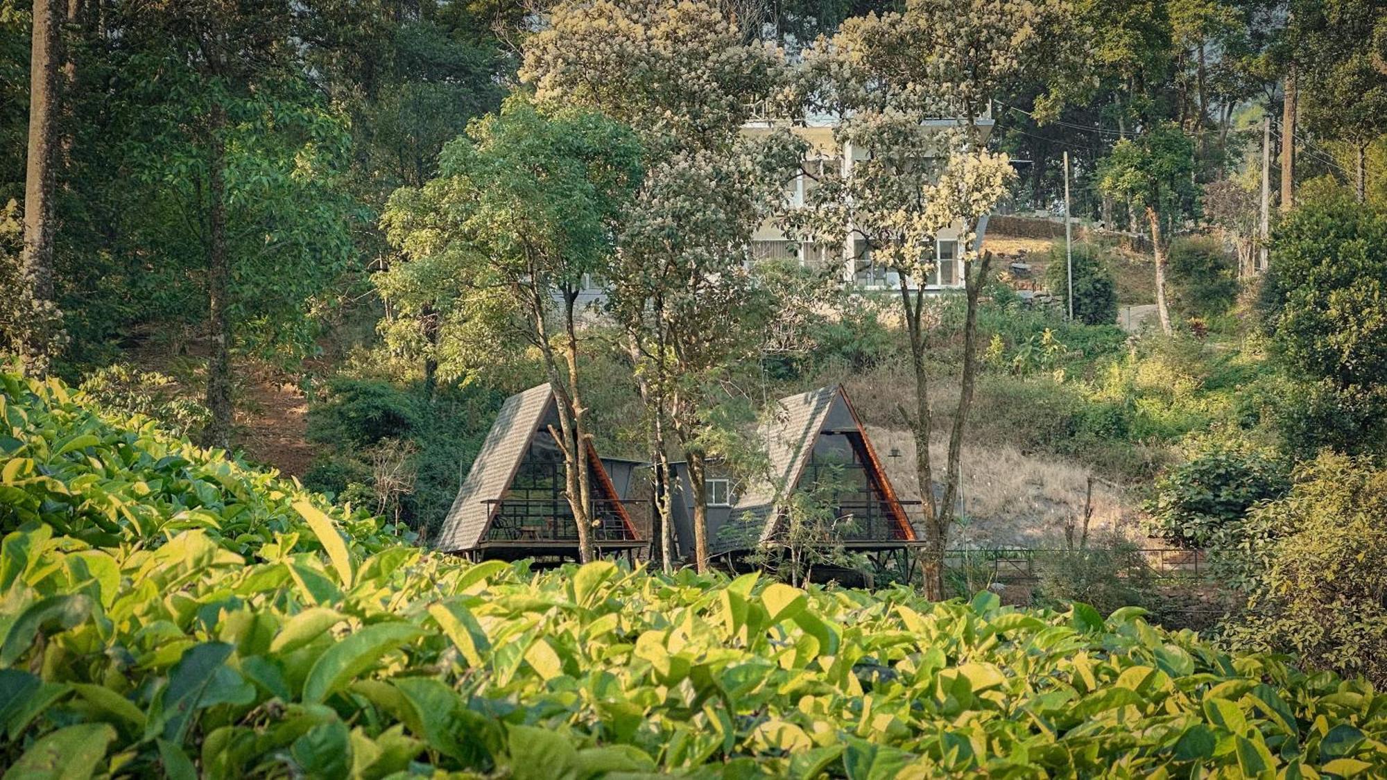 Forestscape Resort Munnar Kültér fotó