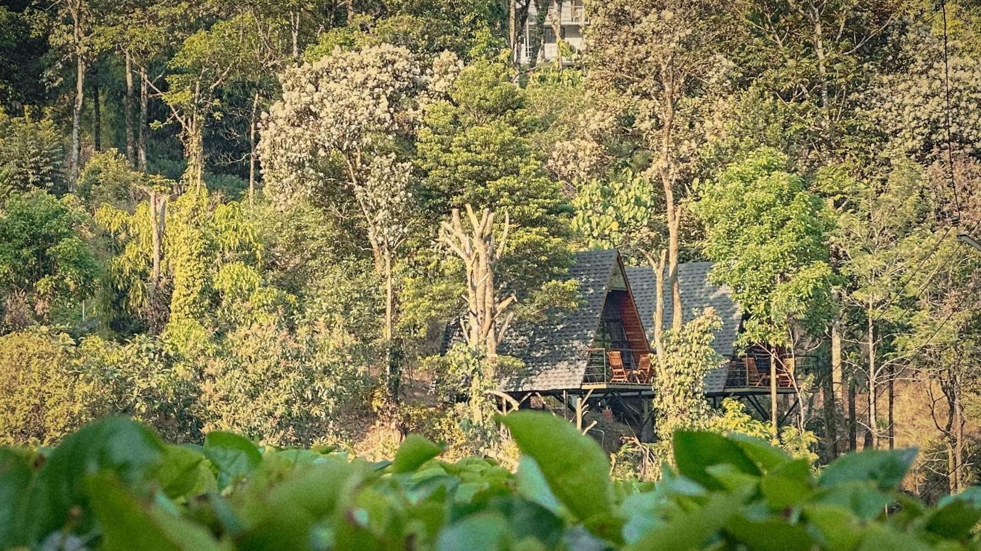 Forestscape Resort Munnar Kültér fotó