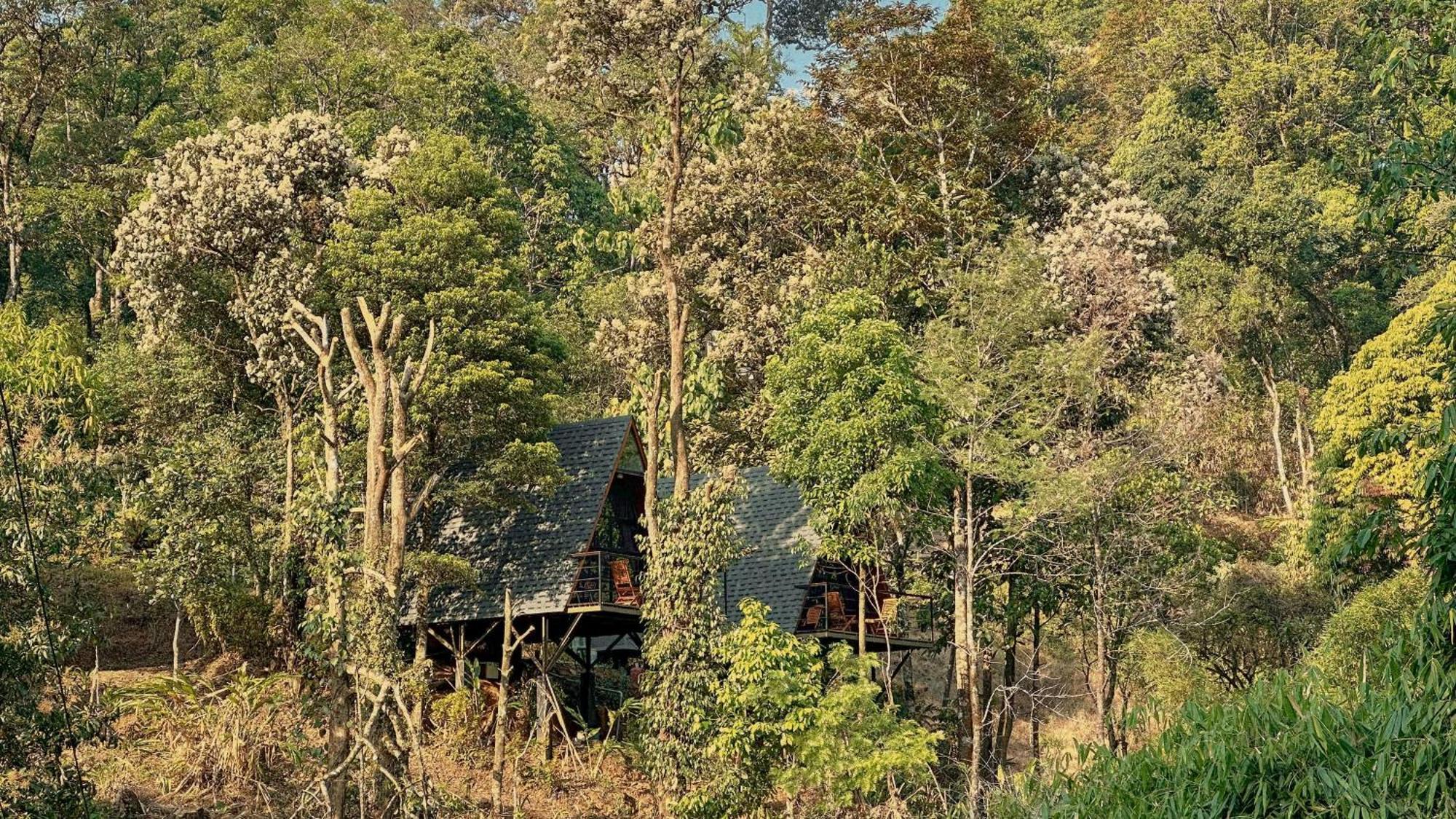 Forestscape Resort Munnar Kültér fotó