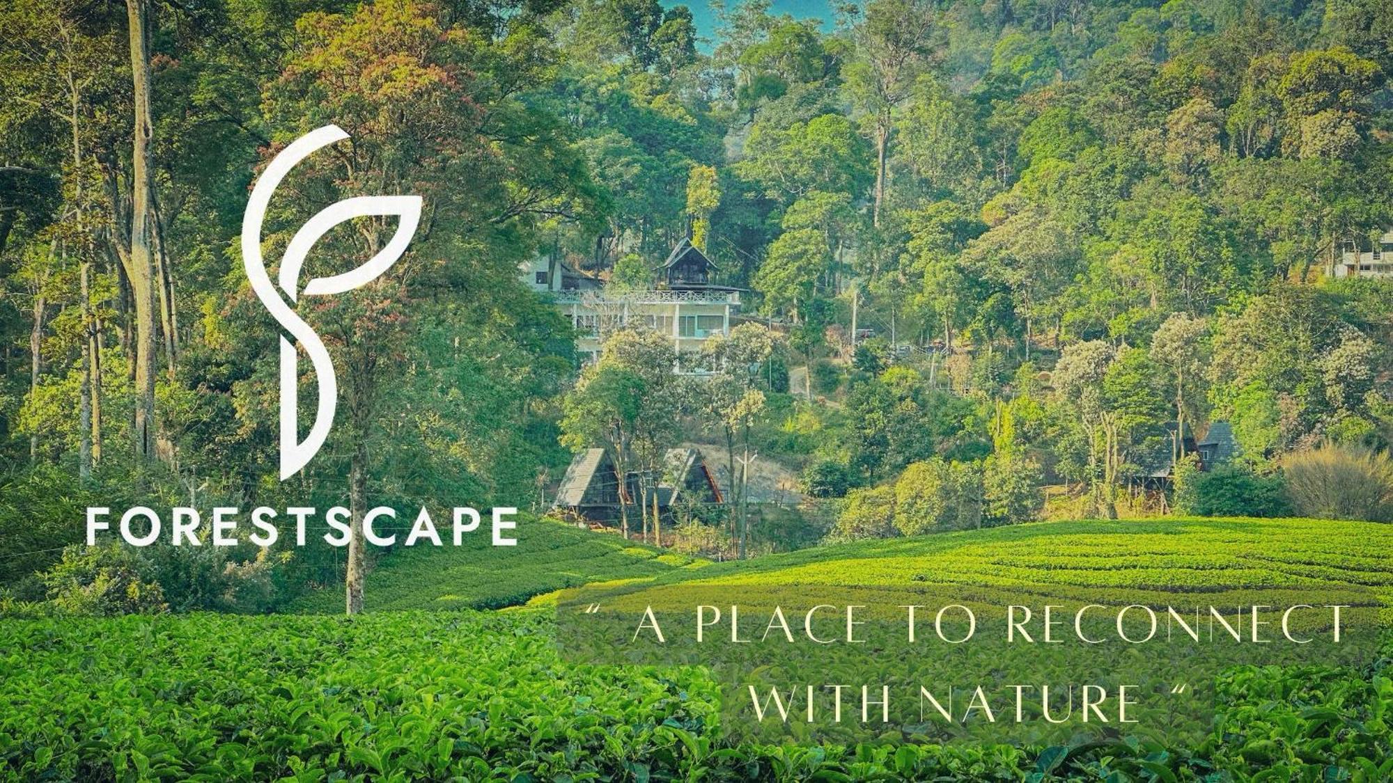 Forestscape Resort Munnar Kültér fotó